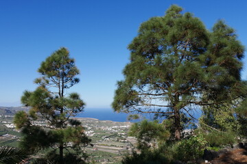 Aussicht aufs Meer in Gran Canaria