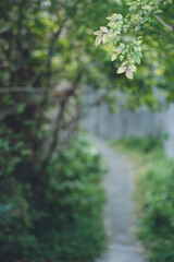 愛知県常滑市の陶磁器がテーマの観光モデルコース - やきもの散歩道の風景