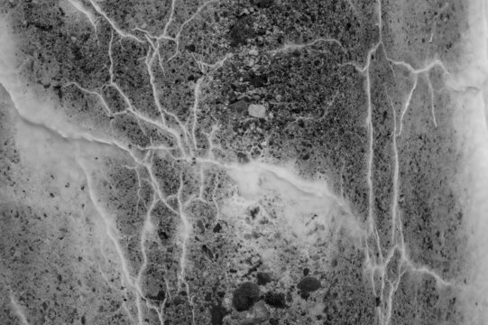 80 year-old concrete creates a home for a new community of fauna.