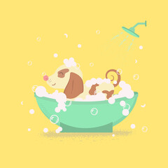 dog in the bathroom, yellow background
