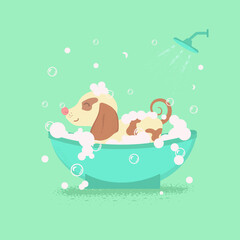 dog in the bathroom, green background