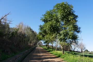 Obraz premium Wanderweg auf Gran Canaria