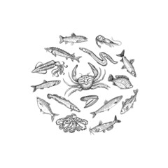 Seafood graphic circle symbol with assorted fish