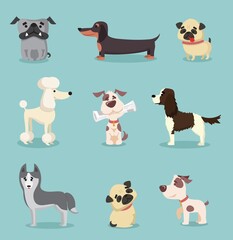 Vector illustration set of cute and funny cartoon little dogs-pupies