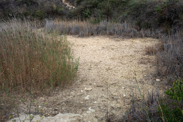 Paisaje de balsa seca