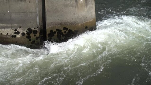 Wasserwehr . Weir