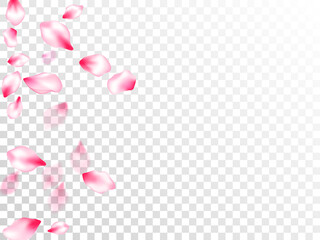 Japanese cherry blossom pink flying petals