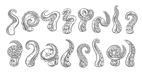 Fototapeta Octopus tentacles outline icons. Monochrome limbs of the sea monster kraken. Set of sea octopus twisted tentacles with suckers vector illustration. obraz