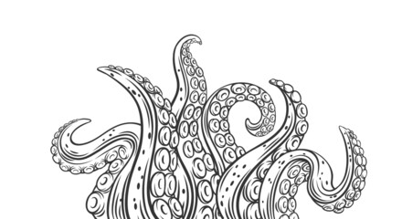 Octopus tentacles outline banner. Drawn monochrome limbs of the sea monster kraken. Vector illustration of sea octopus twisted tentacles with sucker © Victoria Sergeeva