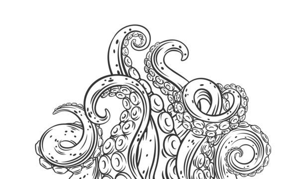 Octopus tentacles outline banner. Drawn monochrome limbs of the sea monster kraken. Vector illustration of sea octopus twisted tentacles with sucker