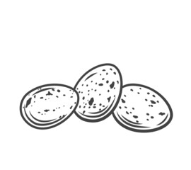 Three whole quail eggs outline drawn vector illustration.