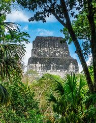 Temple IV also known as the two headed snake temple in Mayan city of Tikal, Guatemala