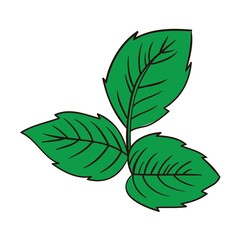 three leaves nature symbol