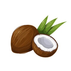 Whole Coconut, Half and Green Leaf. Tropical fruit vector illustration