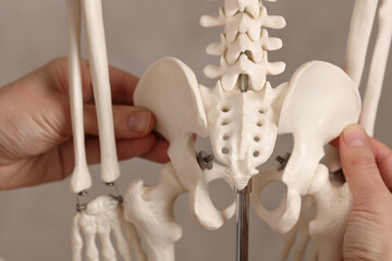 Pure posture correction, uneven hips. Doctor and skeleton model close up