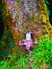 colourful fairy house in the irish forest