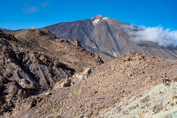 Visiting Teide national park on Tenerife and view on volcanic landscapes, Canary islands, Spain