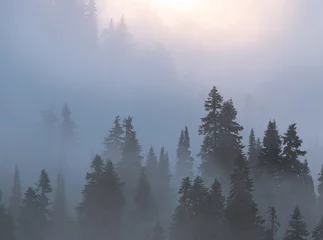 Fototapete fog in the mountains © Francois