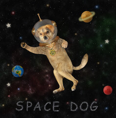 Obraz na płótnie Canvas A beige dog astronaut in a spacesuit floats in outer space among the stars and planets.