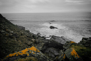 Light and sea. Waves and sound.