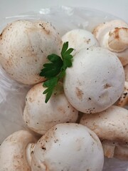 mushrooms on a plate