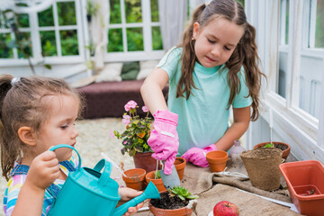 Kids learning gardening outdoors. Cute girls planting flowers in pots at greenhouse. Sisters taking...