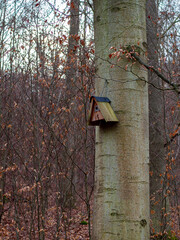 Vogelhaus im Wald 