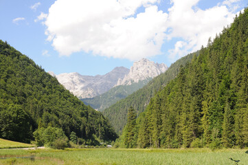 Fototapeta na wymiar landscape in the mountains 2