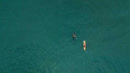 kite in the water