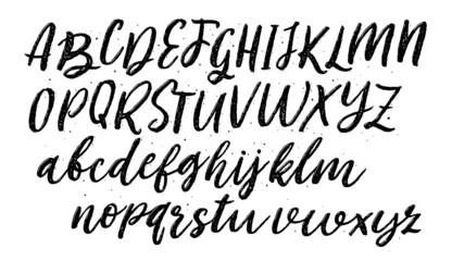 Vector hand drawn alphabet isolated on white background. Brush painted letters. Decorative artistic font. Black letters.	
