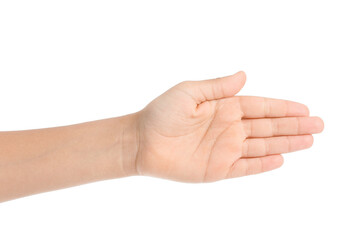 Child's palm on white background