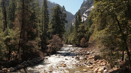 A stream in a national park