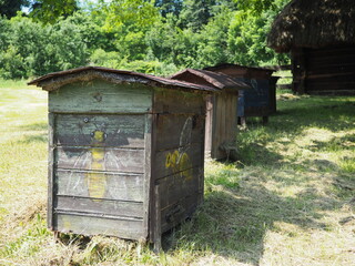 Old bee hive in polish village