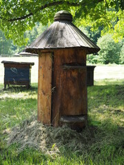 Old bee hive in polish village