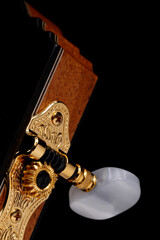guitar close up