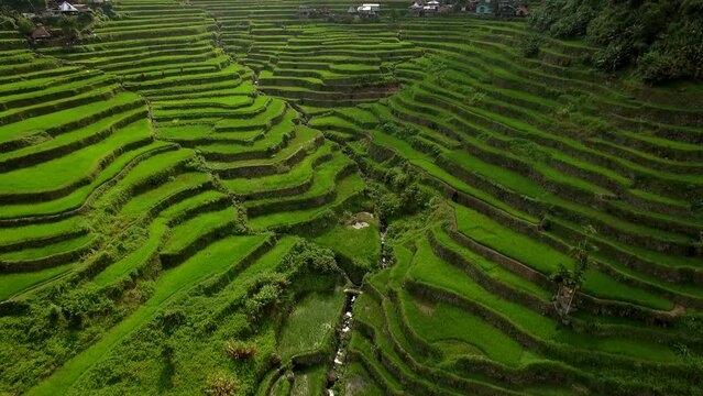 Aerial tilt up shot showing the ancient Ifugao Rice Terraces at Batad in northern Luzon, Philippines.