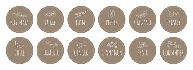 Vector collection of stickers with spices labels. Set of labels for spices. stickers, cards for marking kitchen food containers with spices.