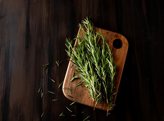 Rosemary sprig on rustic table