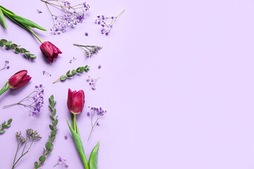 Composition with beautiful flowers on purple background