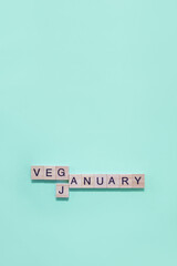 Word Veganuary made from wooden blocks with letters on menthol background. Minimal concept of vegetarianism in January. Copy space, flat lay