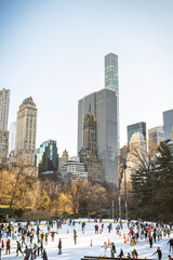 Obraz premium central park