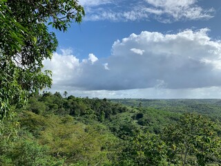 Obraz premium clouds over the forest