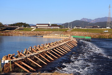 延岡市　鮎やな