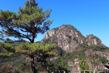 千畳敷展望所から望む矢筈岳