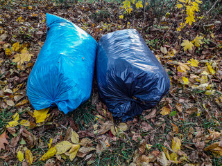 Last year leaves in the bags .Plastic bags with fallen leaves