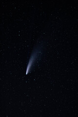 A Neowise comet in a starry night