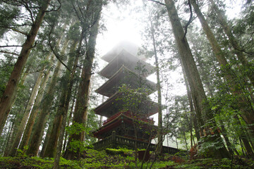 Old japanese pagoda in the forest (Nikko)