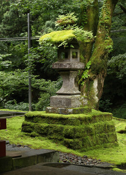 Old stone lantern in Nikko, Japan