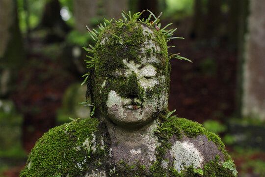Rare "hairy Buddha" - statue with plants growing right on the Buddha's head  (Nikko, Japan)