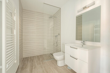 Fototapeta na wymiar Bathroom with white towel-drying radiator, white furniture and porcelain sink with glass shower screen